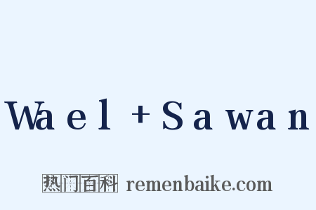Wael+Sawan是什么意思的图片